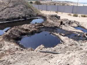 WhatsApp Image 2020-10-23 at 6.56.21 PM (2)