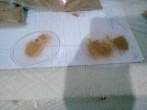 WhatsApp Image 2024-04-24 at 12.33.54 AM (1)